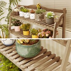 two photos side by side, one with succulents and the other with potted plants