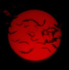 a large red ball with bats flying around it in the night sky, lit up by a full moon