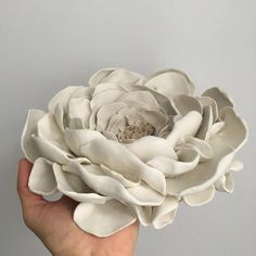 a person holding a white flower in their hand