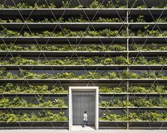 a person standing in front of a building with plants growing on it