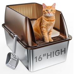 an orange tabby cat sitting in a metal container with the words high on it