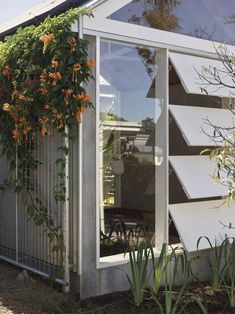 an orange flower is growing on the side of a white building with glass doors and windows