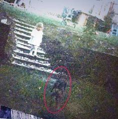 a child standing on steps in the grass with a red circle around it's neck