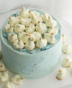 there is a blue cake with white frosting and little birds on top, all around it