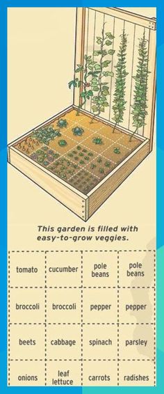 the garden is filled with easy to grow vegetables