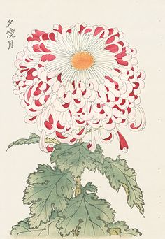 an illustration of a large flower with leaves