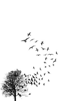 a flock of birds flying over a tree in black and white with the sky behind it