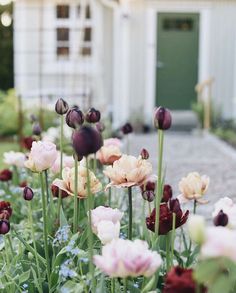 many different colored flowers in front of a house