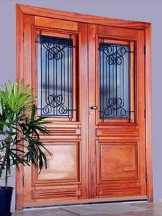 a potted plant sitting in front of a wooden door with wrought iron bars on it