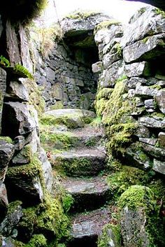 an old stone tunnel with moss growing on the walls and steps leading up to it