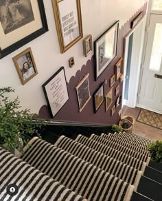 the stairs are lined with pictures and plants