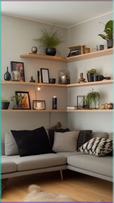 a living room filled with lots of furniture and shelves full of plants on top of them