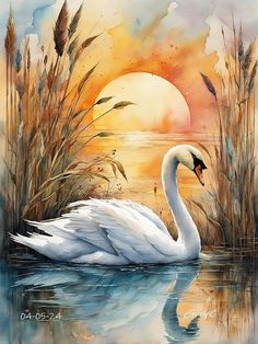 a painting of a white swan in the water at sunset with reeds and grasses