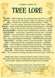 the tree lore is written in an old style with leaves and other things on it