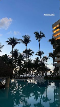 an empty swimming pool surrounded by palm trees