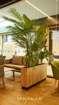 a plant in a wooden pot on top of a table next to two green chairs