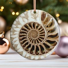 a christmas ornament with an ammonite shell on it