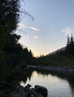 a river running through a forest filled with lots of rocks and trees in the distance