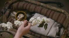 a person holding flowers in their hand near a basket filled with cloths and blankets