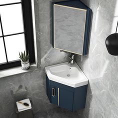 a bathroom with a sink, mirror and plant on the counter top in front of a window