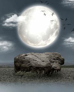 a large rock sitting in the middle of a field under a full moon with birds flying over it