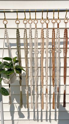 a bunch of ties hanging on a wall next to a potted plant in front of a white building