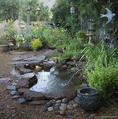 a small pond surrounded by rocks and plants