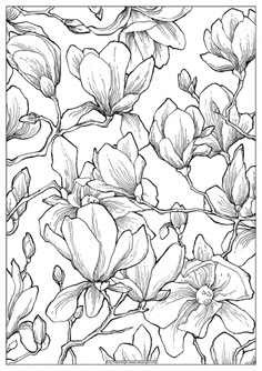 a black and white drawing of flowers