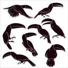 black and white silhouettes of toucans with different wings, beaks and feet