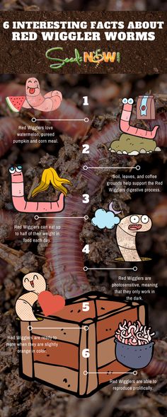 an info sheet describing the different types of worms