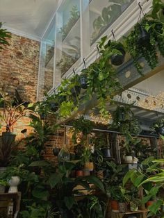 a room filled with lots of different types of plants