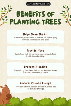 Top 4 benefits of planting tress Tree Planting Quotes, Uses Of Trees, Earth Day Drawing, Planting Trees, Plant Help