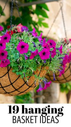 hanging baskets filled with purple flowers are the perfect way to add color and interest to any outdoor space