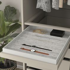 an open drawer with jewelry and bracelets on it in a room next to a potted plant