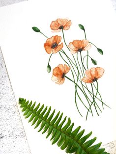 some orange flowers and green leaves on a white paper