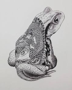 a black and white drawing of a frog sitting on top of another animal's head