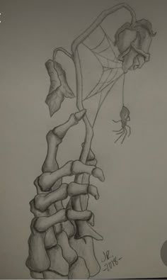 a pencil drawing of a skeleton holding a rose in it's right hand and the bottom part of its neck