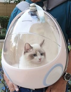 a man holding a white cat in a clear ball shaped helmet on his back with the reflection of it's face