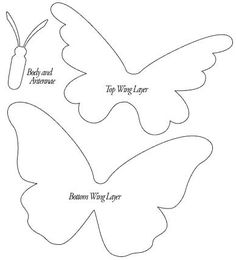 three paper butterflies with the names of each wing