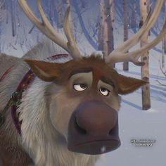 a close up of a reindeer with antlers on it's head