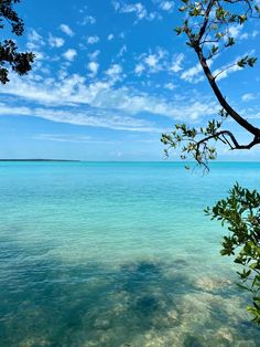 the water is crystal blue and clear