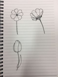 three flowers are drawn on lined paper