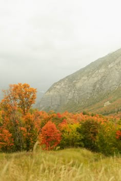 the mountains are covered in autumn foliage and trees with orange, yellow, and green leaves