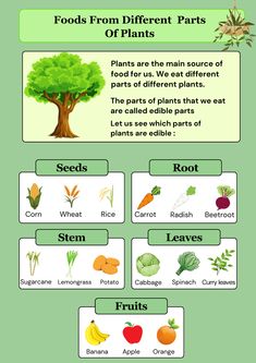 the different types of fruits and vegetables are shown in this diagram, which shows what they are