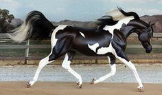 a black and white horse is galloping on the sand