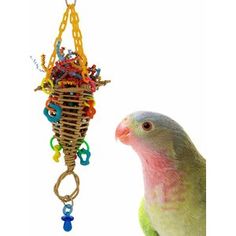 a green and yellow parakeet looking at a colorful bird toy hanging from it's perch