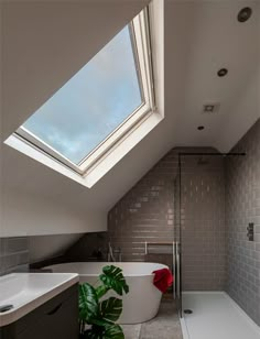 a bathroom with a skylight above the bathtub and sink, along with a plant