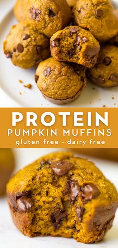 pumpkin muffins with chocolate chips on top and the words, protein pumpkin muffins gluen free dairy free