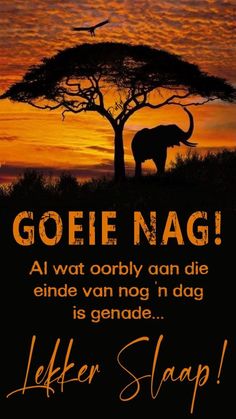 an elephant standing in front of a tree with the words goetie nag