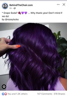 Light Red Hair, Dark Purple Hair, Hair 2022, Peekaboo Hair, Cute Hair Colors, Violet Hair, Grape Soda, Hair Color Purple, Hair And Beauty